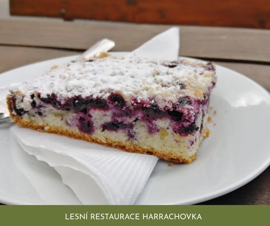 Lesni Restaurace Harrachovka Hotel Tábor Kültér fotó